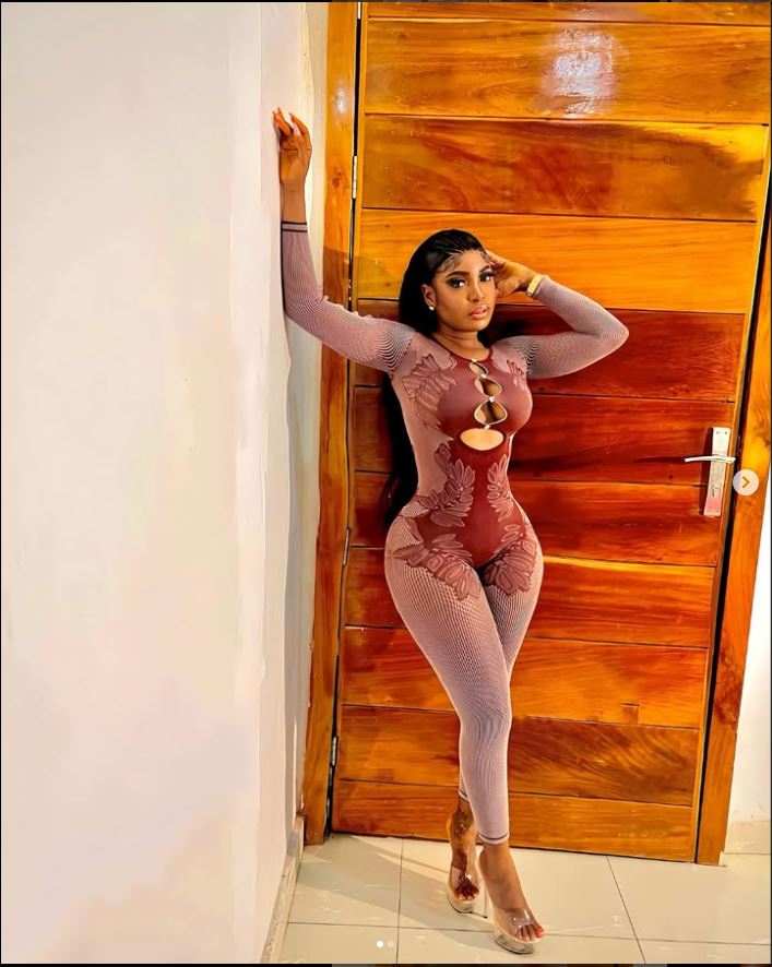 Sheer Knit Slim Jumpsuit β Long Sleeve Mid Waist Casual One-Piece Suit