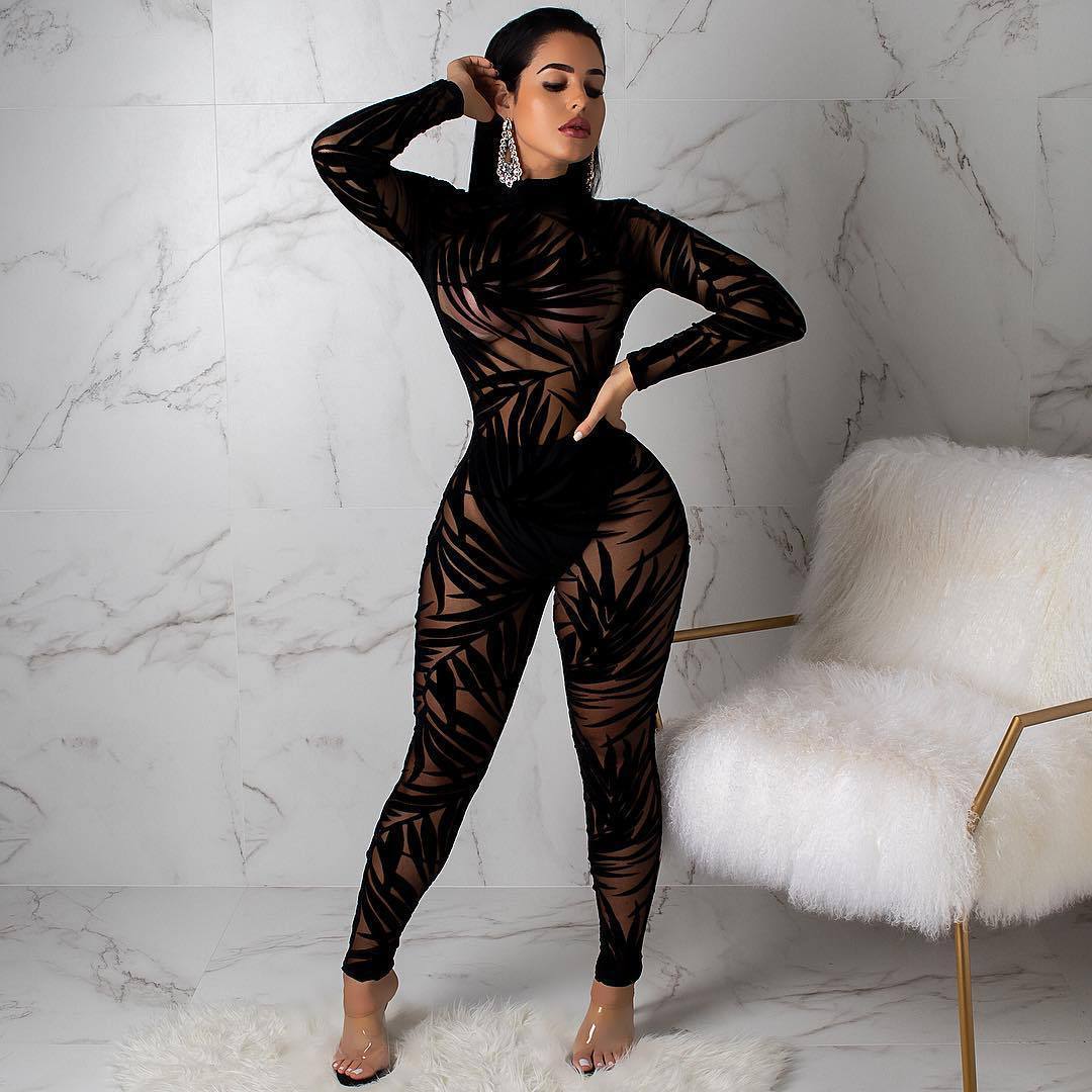 Illusion Mesh Bodycon Jumpsuit – Sheer Hollow Out, Sexy & Curve-Hugging